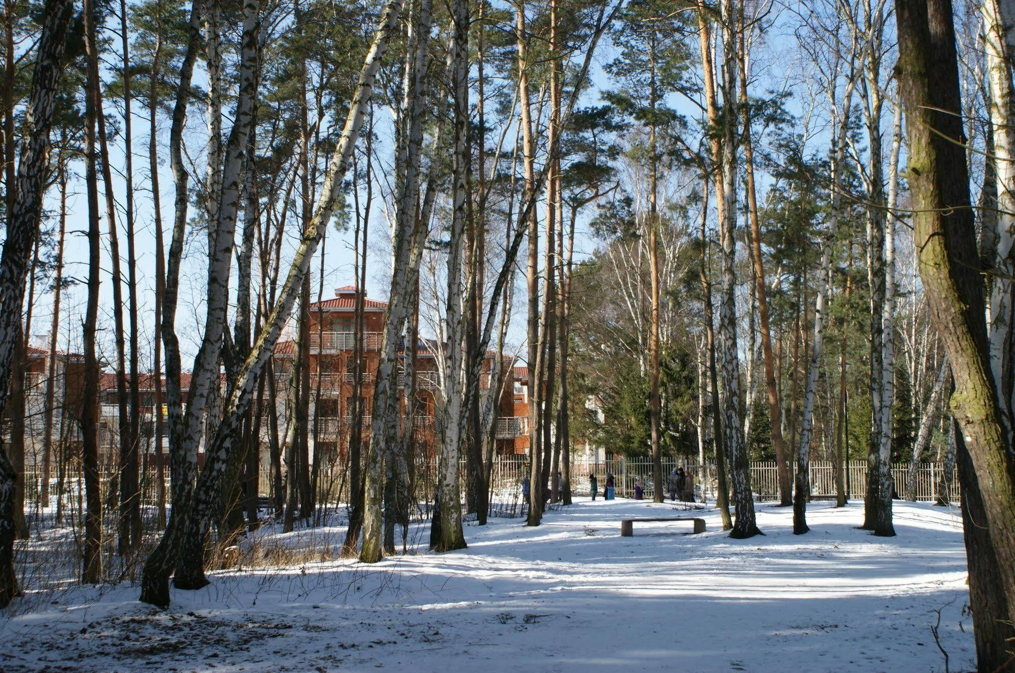 Wygodny Apartment